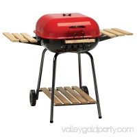 Americana Swinger 6 Position Charcoal Grill   